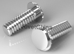 CONCEALED-HEAD SELF-CLINCHING